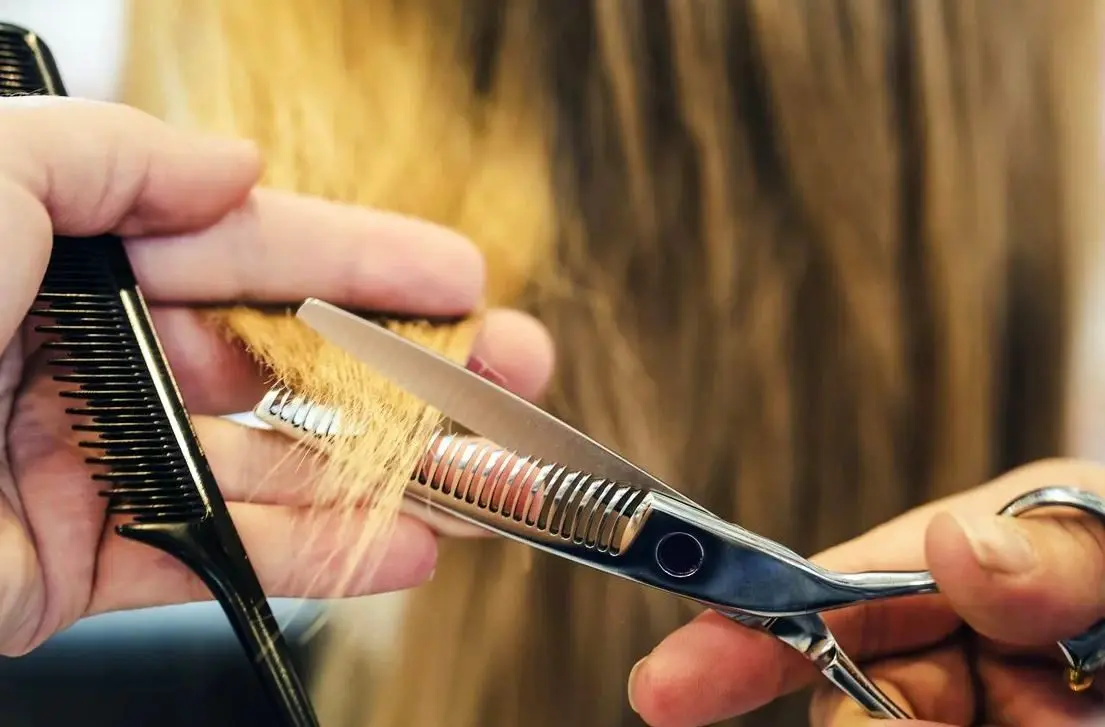 هفت مدرک آرایشگری برای مجوز چیست؟