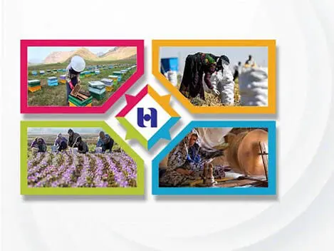 رشد ١٤٣ درصدی حمایت بانک صادرات ایران از کسب و کارهای روستایی
