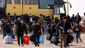 پای پدرزن نوید محمدزاده به رسانه آمریکایی باز شد
