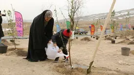 پویش شازده کوچولو در تهران