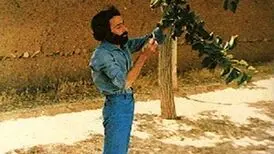 سهراب سپهری؛ شاعری که ساده می‌نوشت و دشوار فکر می‌کرد!