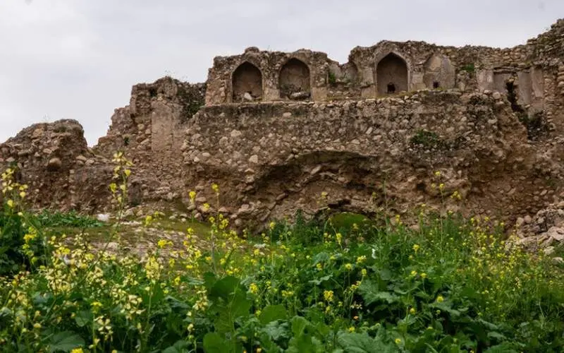 "هشتی" کمارج در سراشیبی نابودی