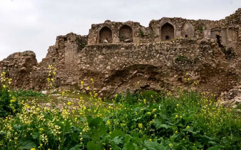 "هشتی" کمارج در سراشیبی نابودی