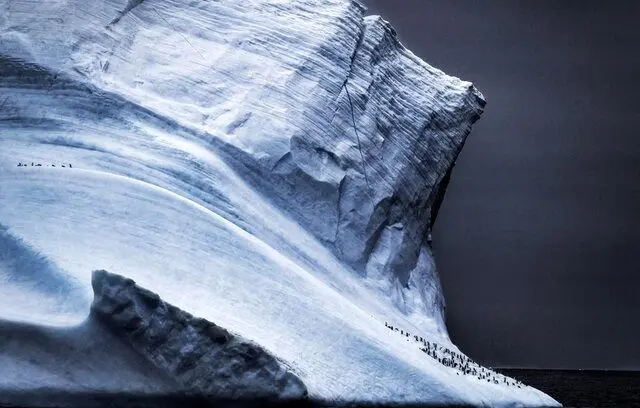 بهترین‌ عکس‌های طبیعت جهان را ببینید
