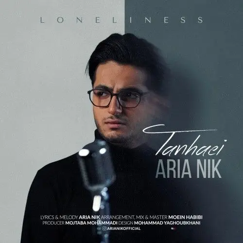 «تنهایی» با صدای آریا نیک منتشر شد+صوت