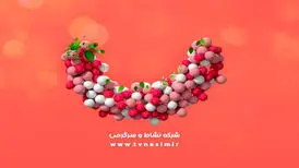 اعلام برنامه‌های رمضانی شبکه نسیم
