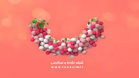 اعلام برنامه‌های رمضانی شبکه نسیم
