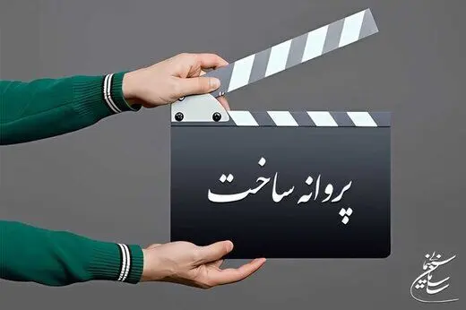 کدام کارگردانان می‌توانند فیلم بسازند
