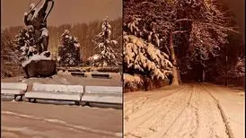 ادامه تعطیلی کاخ‌های نیاوران و سعدآباد
