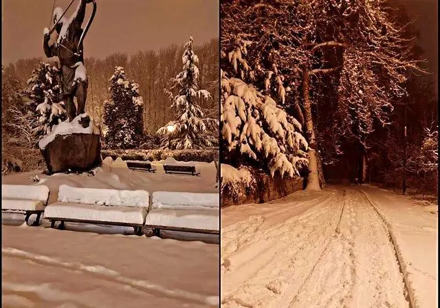 ادامه تعطیلی کاخ‌های نیاوران و سعدآباد
