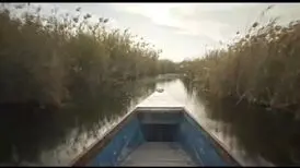 تیزر «پسران هور» رونمایی شد