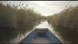 تیزر «پسران هور» رونمایی شد