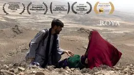 جایزه جشنواره فیلم کوتاه آمریکا و لهستان به «رویا» رسید
