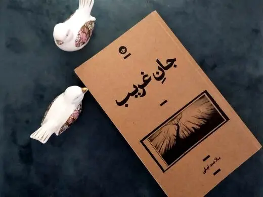 روایت غریب زنی از فضای سخت، صنعتی و مردانه