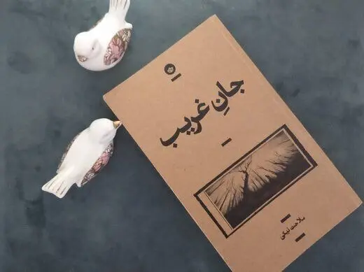 روایت غریب زنی از فضای سخت، صنعتی و مردانه