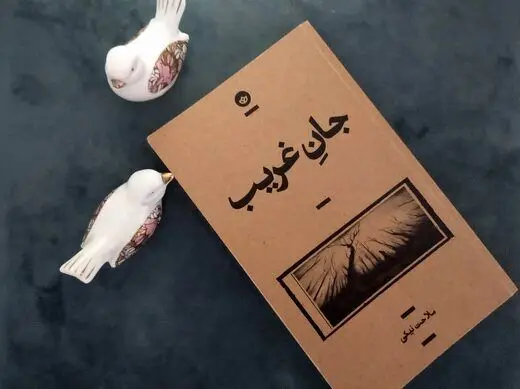 روایت غریب زنی از فضای سخت، صنعتی و مردانه