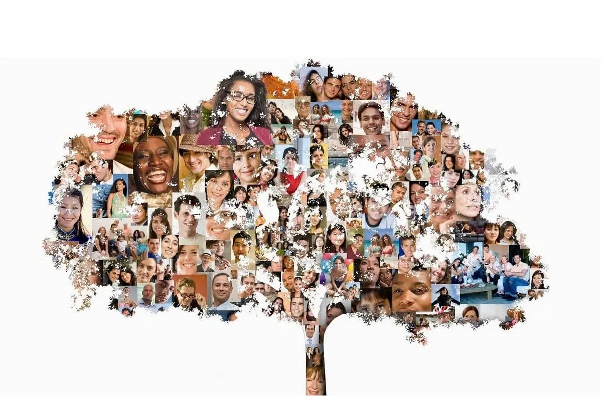 ساخت بزرگترین شجره نامه بشر با ۲۷ میلیون جد!