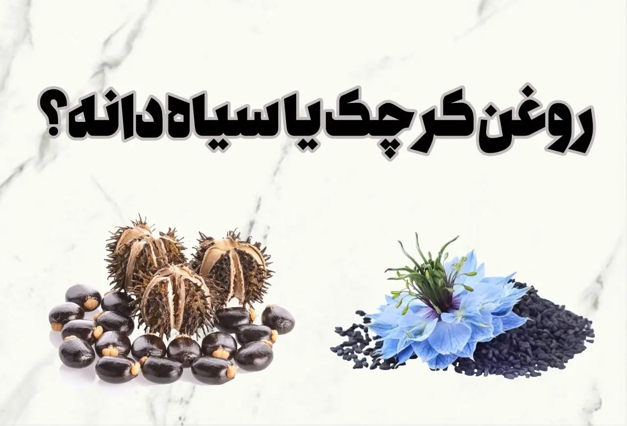 روغن کرچک یا روغن سیاه دانه؟ کدام بهتر است؟
