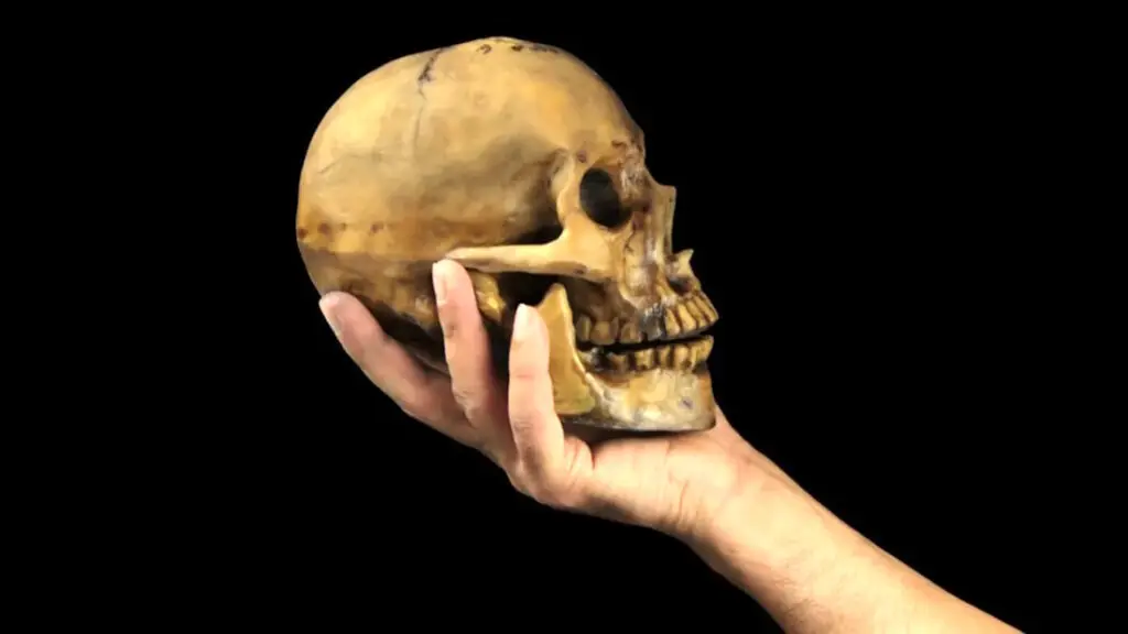 کشف جمجمه انسان دوران نوسنگی که به عنوان کاسه یا فنجان استفاده می شد

