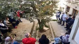 تصاویری دیدنی از گنج‌های پنهان سنگلج