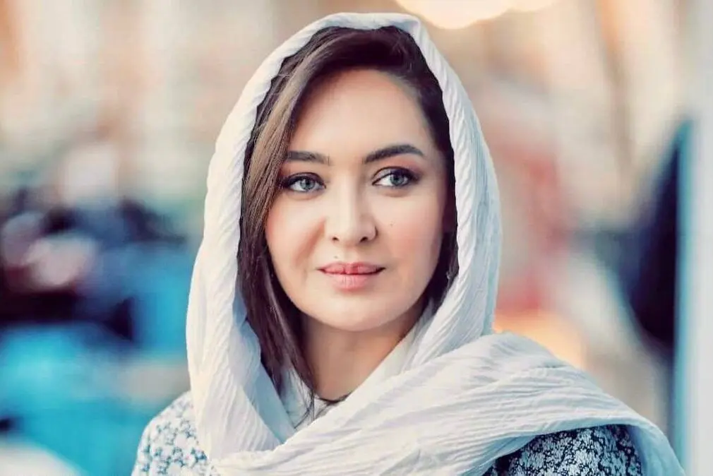 اموال و حساب‌های بانکی نیکی کریمی، مهناز افشار و مزدک میرزایی توقیف شد
