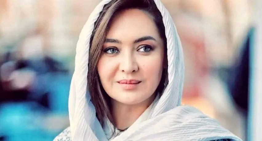 اموال و حساب‌های بانکی نیکی کریمی، مهناز افشار و مزدک میرزایی توقیف شد
