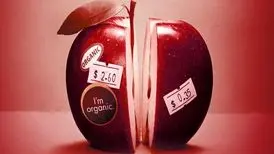 روایت تجارت پُرسود محصولات اُرگانیک در «ضد»