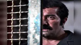 مجید صالحی: کارخانه خودرو ساز مقصر است نه سازمان سینمایی!
