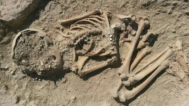 کشف اسکلت ۵ هزار ساله در ترکیه