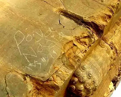 خبر تلخ از تخت‌جمشید/حکاکی بر پیکر ۲۵۰۰ ساله
