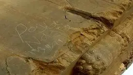 خبر تلخ از تخت‌جمشید/حکاکی بر پیکر ۲۵۰۰ ساله
