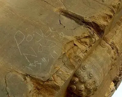 خبر تلخ از تخت‌جمشید/حکاکی بر پیکر ۲۵۰۰ ساله
