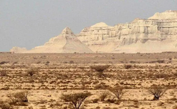 بلایی که پرورش میگو سر ژئوپارک قشم آورد