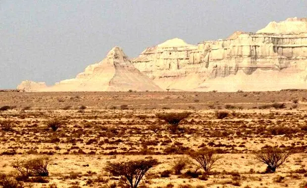 بلایی که پرورش میگو سر ژئوپارک قشم آورد