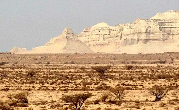 بلایی که پرورش میگو سر ژئوپارک قشم آورد