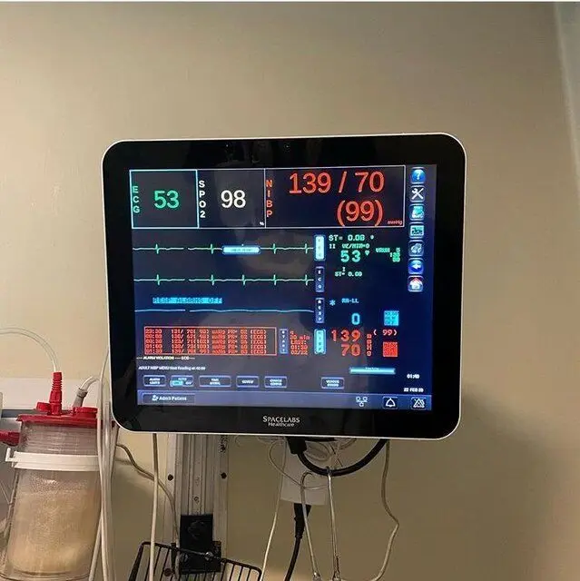 جزییات تازه از روند درمانی محمدرضا شجریان/در نیمه شب«جم» چه گذشت؟