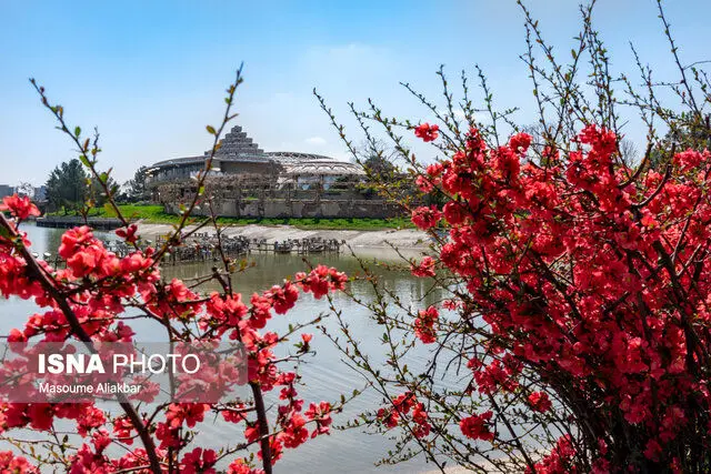 زیباسازی محوطه کاخ مروارید+تصاویر