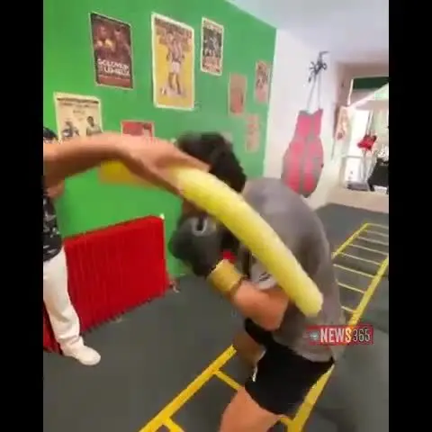 همایون شجریان هم رزمی‌کار شد/ فیلم