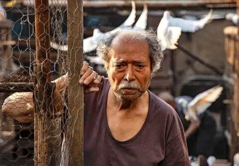 علی نصیریان به جشنواره ونیز می‌رود/ رقابت مجید مجیدی با هالیوودی‌ها