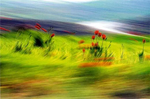 افتتاح گالری آبان با عکس‌های روبرت شهبازی