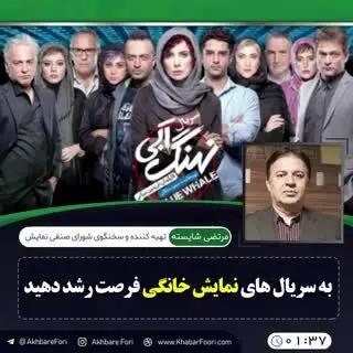 نظارت بر شبکه خانگی به عهده وزارت ارشاد و سازمان سینمایی است و نه هیچ نهاد دیگری