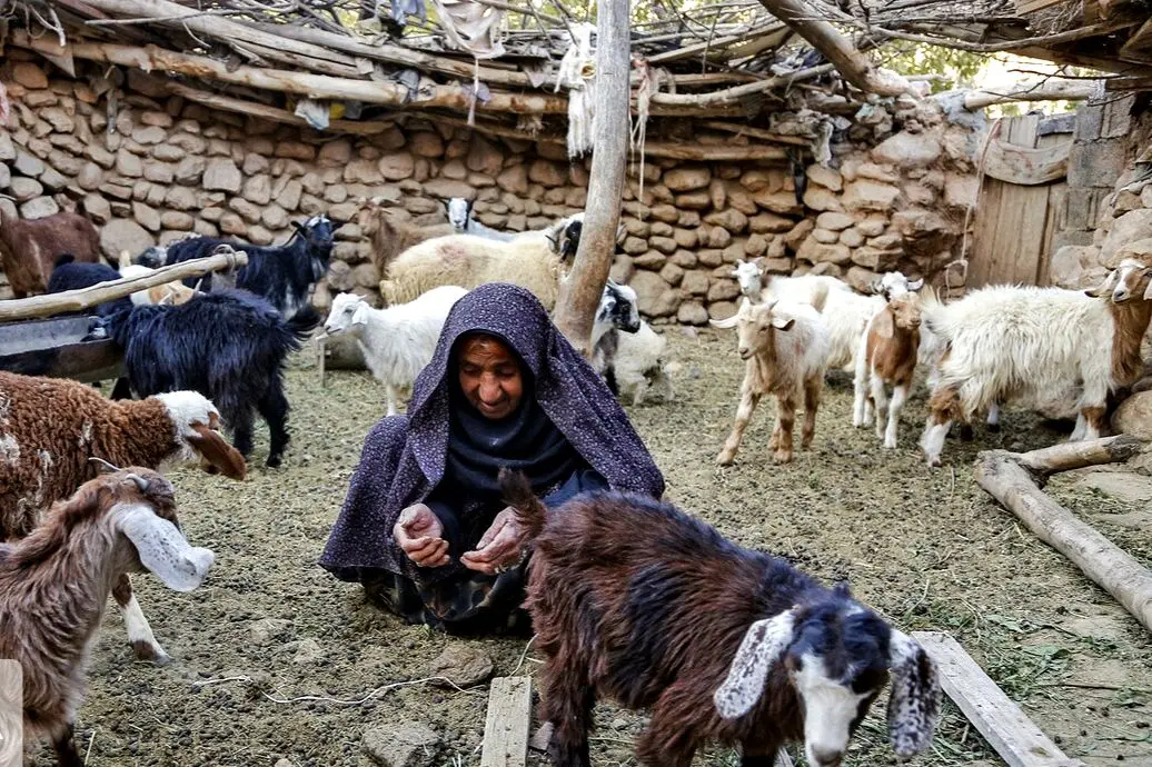 نخستین تلویزیون اینترنتی روستایی کشور افتتاح شد
