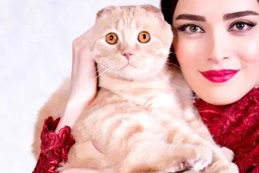 جدایی بهنوش طباطبایی از تئاتر «عشق روزهای کرونا» به خاطر ممیزی گربه‌اش