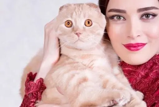 جدایی بهنوش طباطبایی از تئاتر «عشق روزهای کرونا» به خاطر ممیزی گربه‌اش