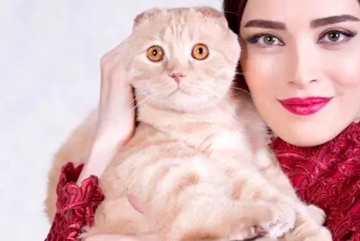 جدایی بهنوش طباطبایی از تئاتر «عشق روزهای کرونا» به خاطر ممیزی گربه‌اش