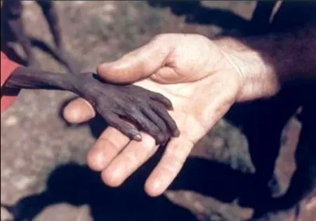 ۸ عکسی که در دنیا معروف شد