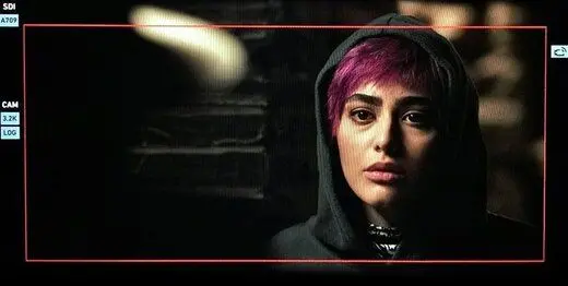 مورد عجیب ریحانه پارسا/ از کشف حجاب و ازدواج سفید تا عریانی!