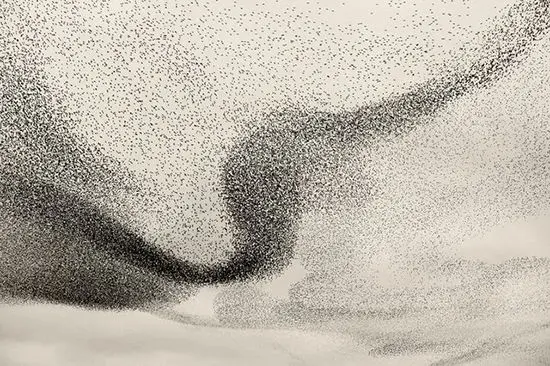 عکس‌هایی زیبا از پرواز سارها