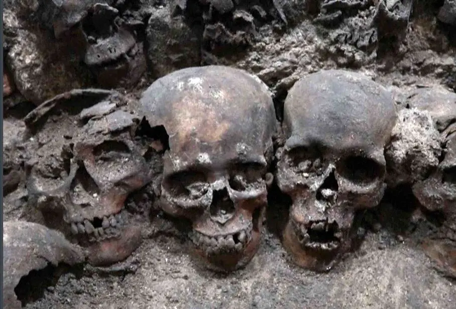 ساخت برج با جمجمه انسان!/ تصاویر