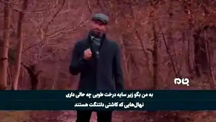 موزیک‌ویدئویی در وصف سردار سلیمانی به زبان انگلیسی/ ویدئو